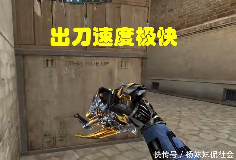 维度与典型